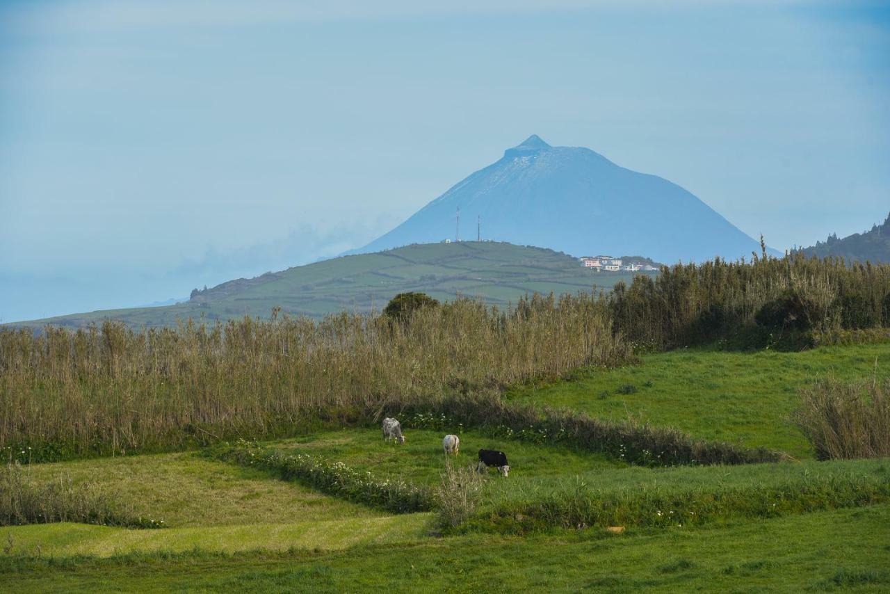 Casas Do Pinheiro Leilighet Cedros Eksteriør bilde